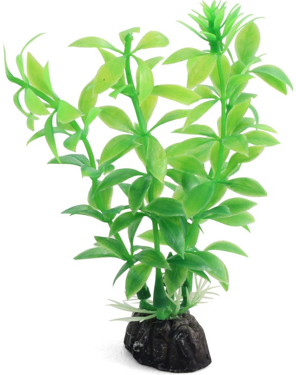 Растение 1047LD "Гемиантус" зеленый, 100мм