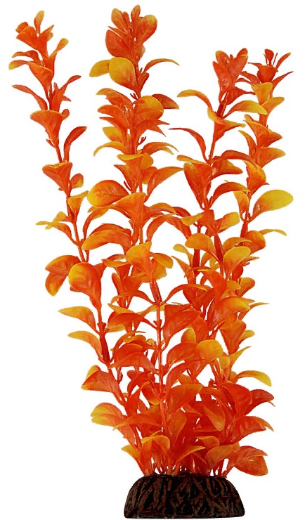 Растение "Людвигия оранжевая", 200мм