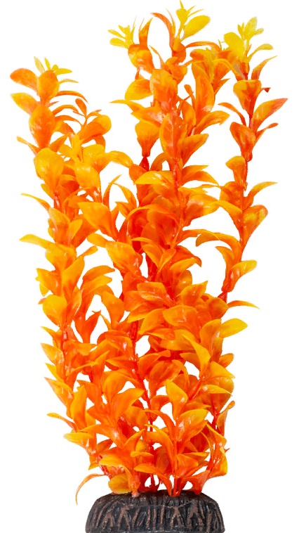 Растение "Людвигия" ярко-оранжевая, 300мм