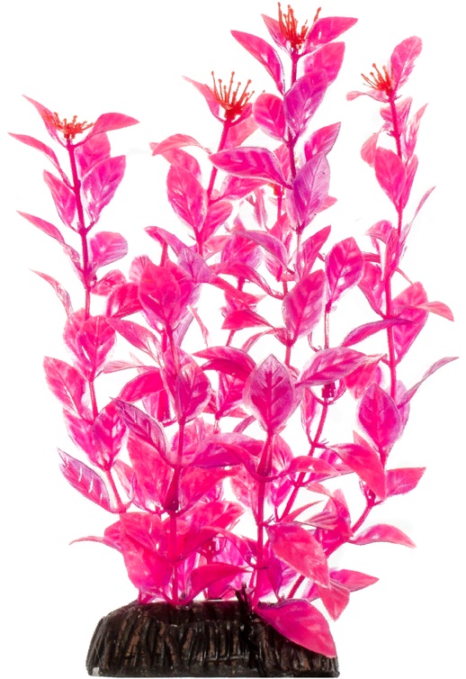 Растение "Людвигия" ярко-розовая, 300мм