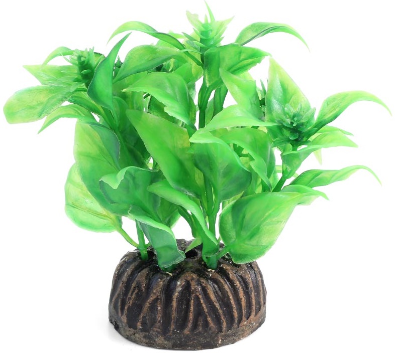 Растение "Альтернантера" зеленая, 80мм