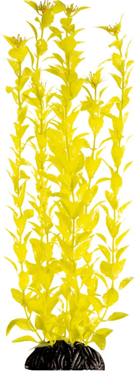 Растение "Людвигия" ярко-желтая, 400мм