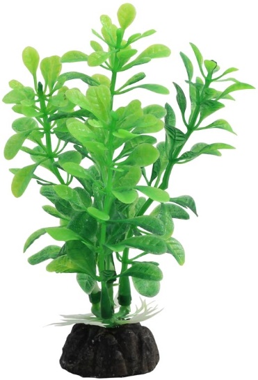 Растение 1030LD "Альтернантера" зеленая, 100мм, (пакет), Laguna	