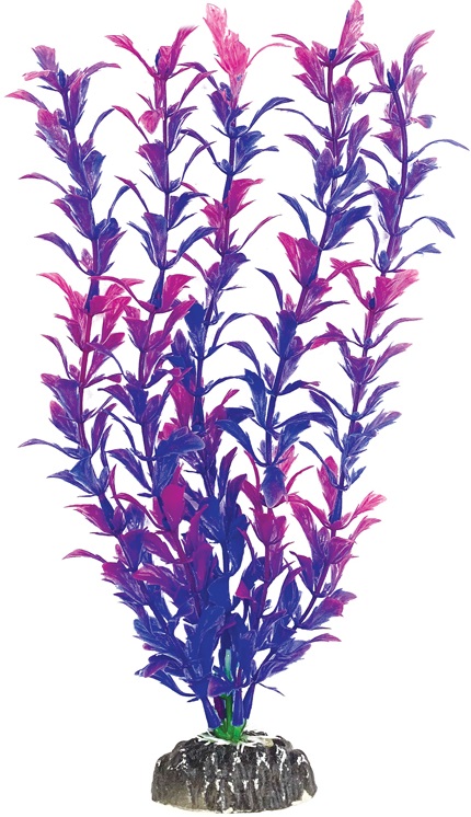 Растение "Людвигия фиолетовая", 300мм