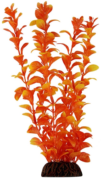 Растение "Людвигия оранжевая" 100мм