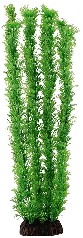 Растение 4682 "Амбулия" зеленая, 400мм, (пакет)