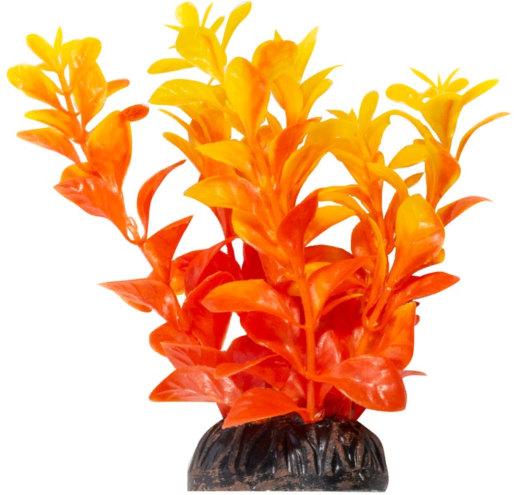 Растение "Людвигия" ярко-оранжевая, 100мм