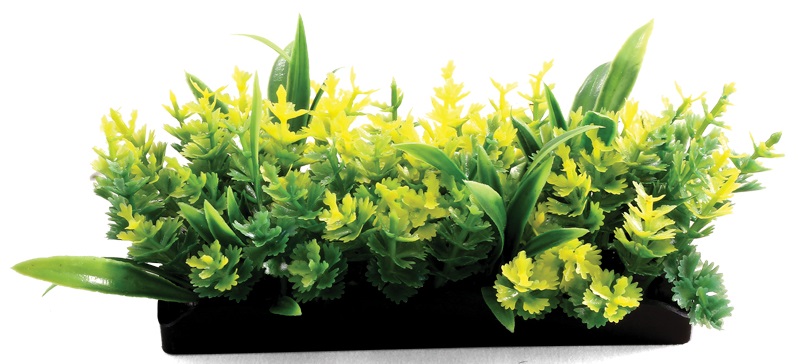 Растения композиция, желтая, 50мм