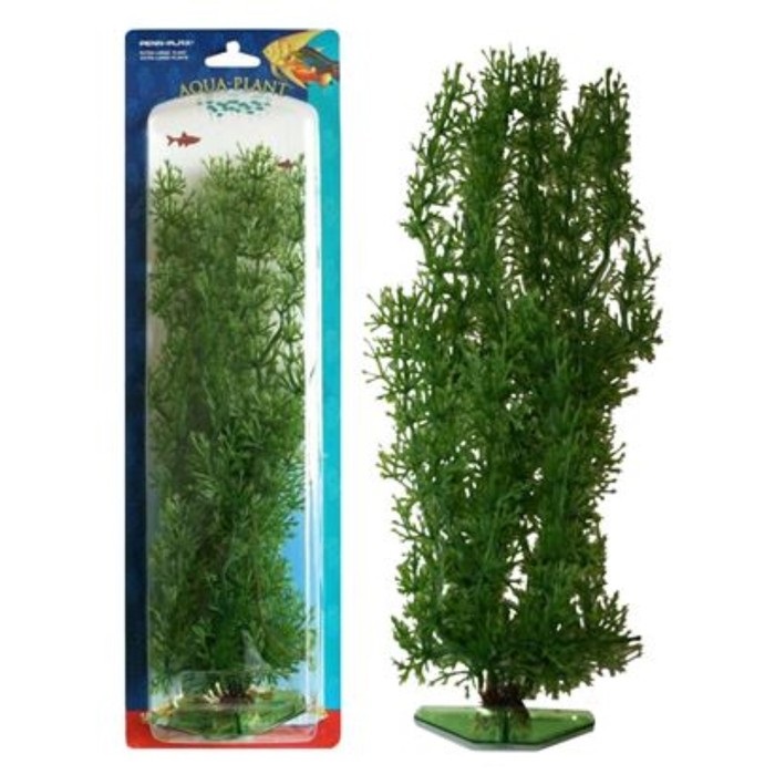 Растение STONEWORT-NITELLA 27см зеленое
